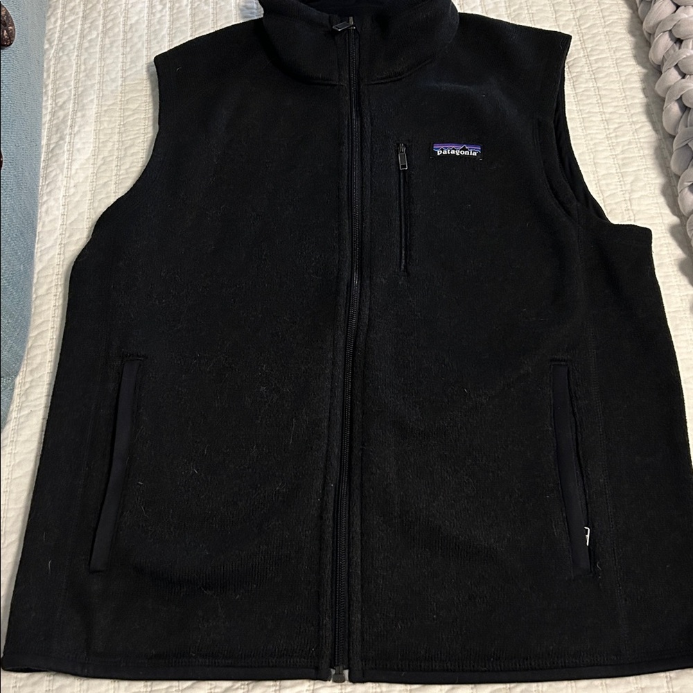 Patagonia better sweater vest